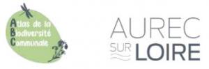Logo de l'ABC d'Aurec sur Loire (43)
