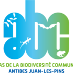 Logo de l'ABC d'Antibes Juan-les-Pins