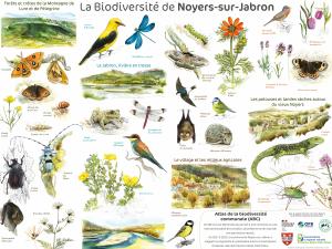 Poster ABC Noyers-sur-jabron