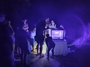 VISIBLE:Animation papillons de nuit